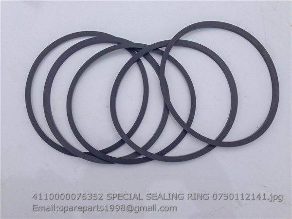 4110000076352 SPECIAL SEALING RING 0750112141