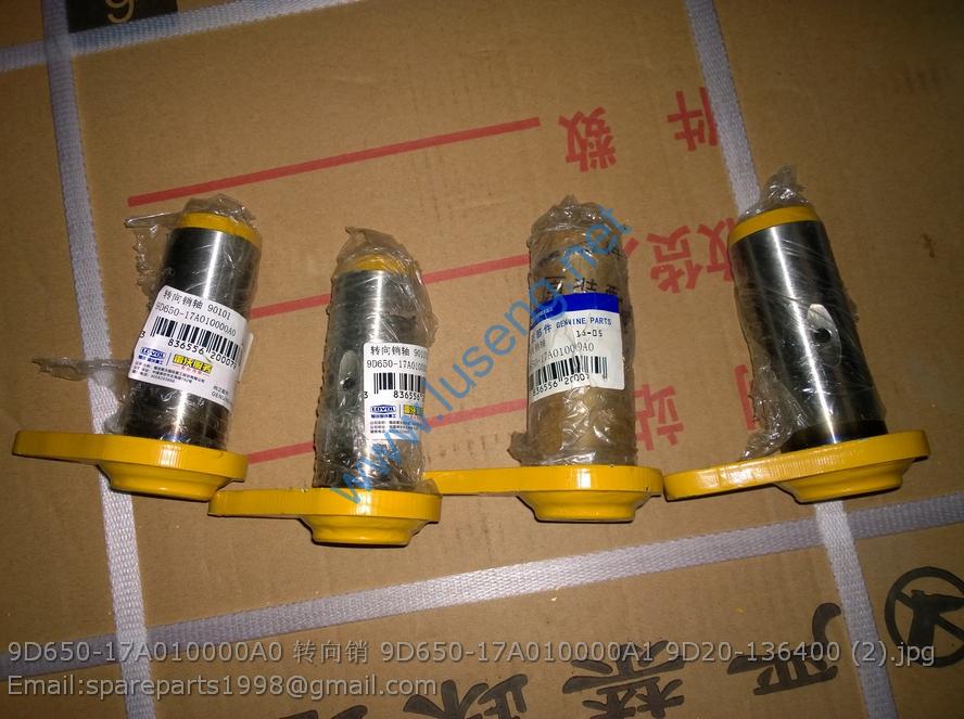 9D650-17A010000A0 9D650-17A010000A1 9D20-136400 PIN