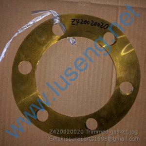 Z420020020 Trimmed gasket sem parts