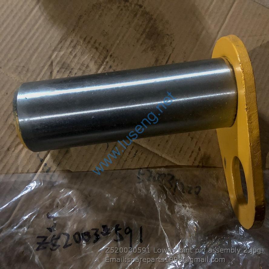 Z520030591 Lower joint pin assembly