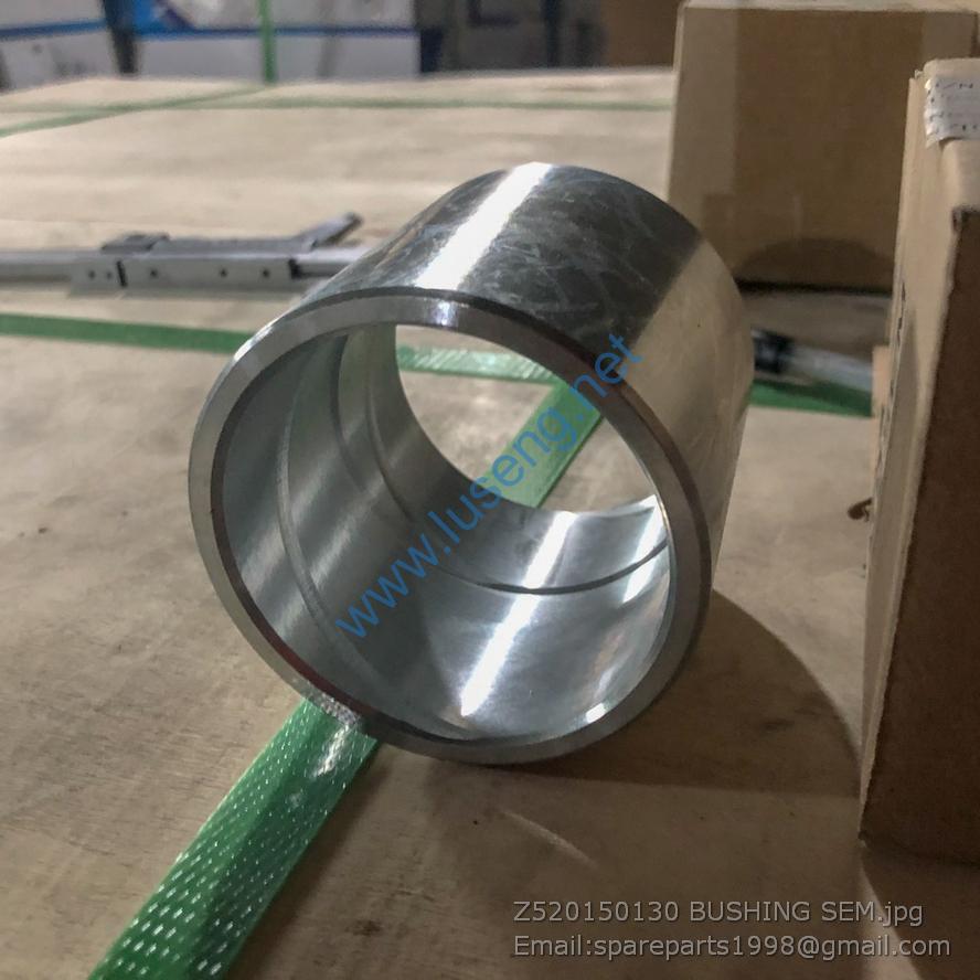 Z520150130 BUSHING SEM
