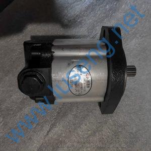 ZWCB-16*130-QC16/16-YT Steering Pump Assembly 37E713B321 240100029538