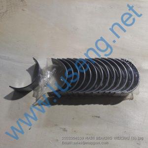 1002004109 MAIN BEARING WEICHAI