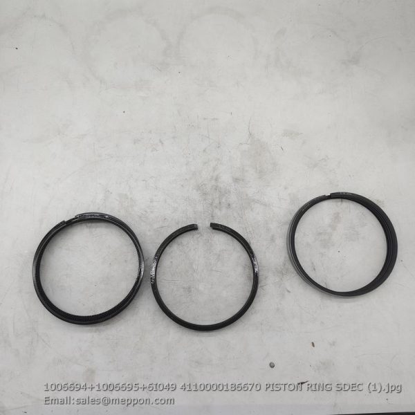 1006694+1006695+6I049 4110000186670 PISTON RING SDEC