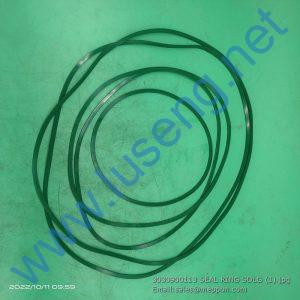 3030900113 SEAL RING SDLG