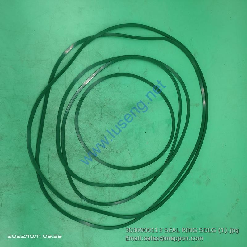 3030900113 SEAL RING SDLG