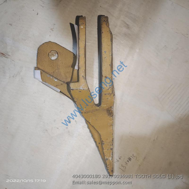 4043000180 29170036981 TOOTH SDLG
