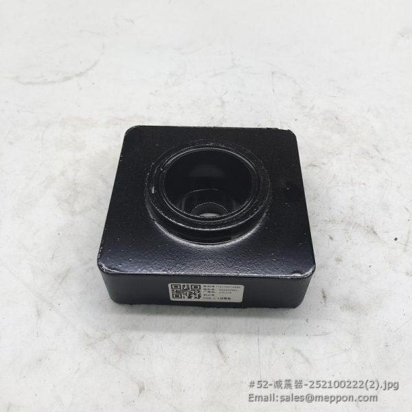 252100222 ABSORBER XCMG