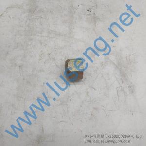 250300296 ZL50.1A.1A-1 9352483 XCMG NUT
