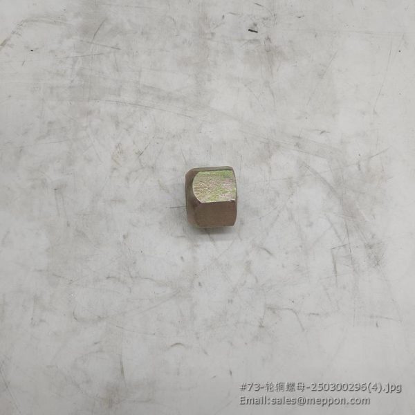 250300296 ZL50.1A.1A-1 9352483 XCMG NUT