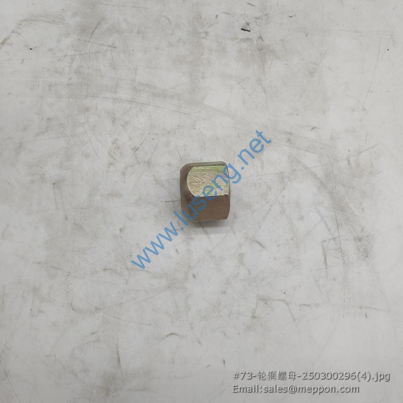 250300296 ZL50.1A.1A-1 9352483 XCMG NUT