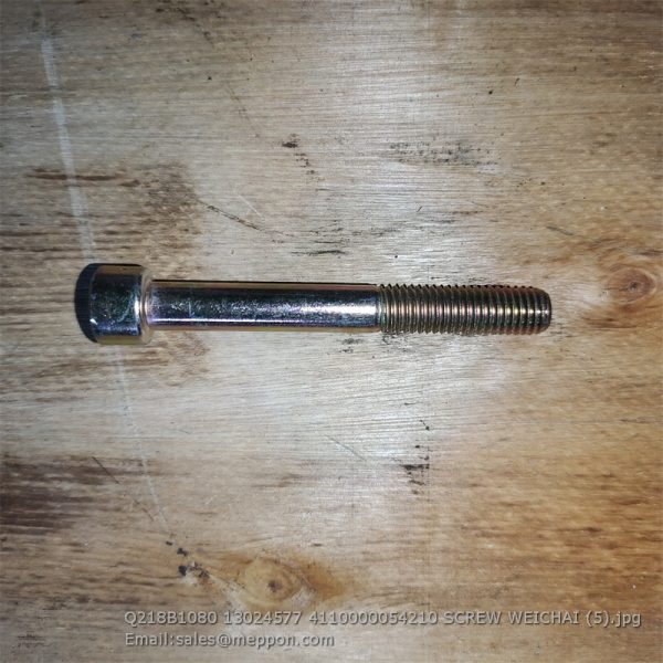 Q218B1080 13024577 4110000054210 SCREW WEICHAI
