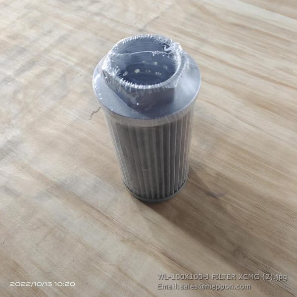 WL-100X100-J FILTER XCMG 5272038 250100322-01