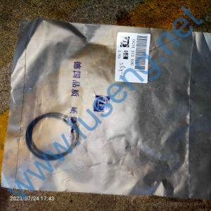 0634313536 O-RING ZF