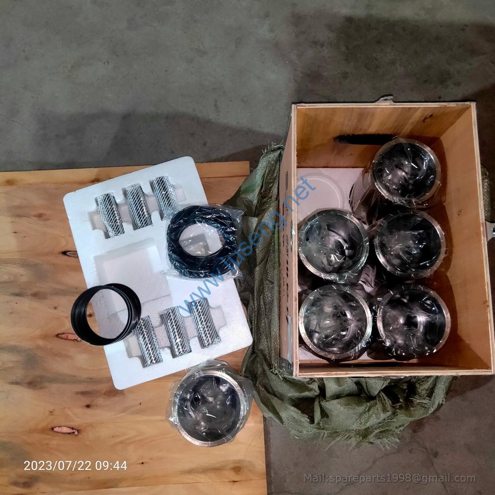 1001385629 13038398 CYLINDER KITS WEICHAI