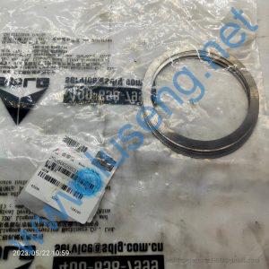 29050020521 SHIM SDLG