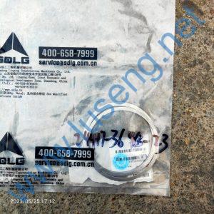 29050025561 SHIM SDLG