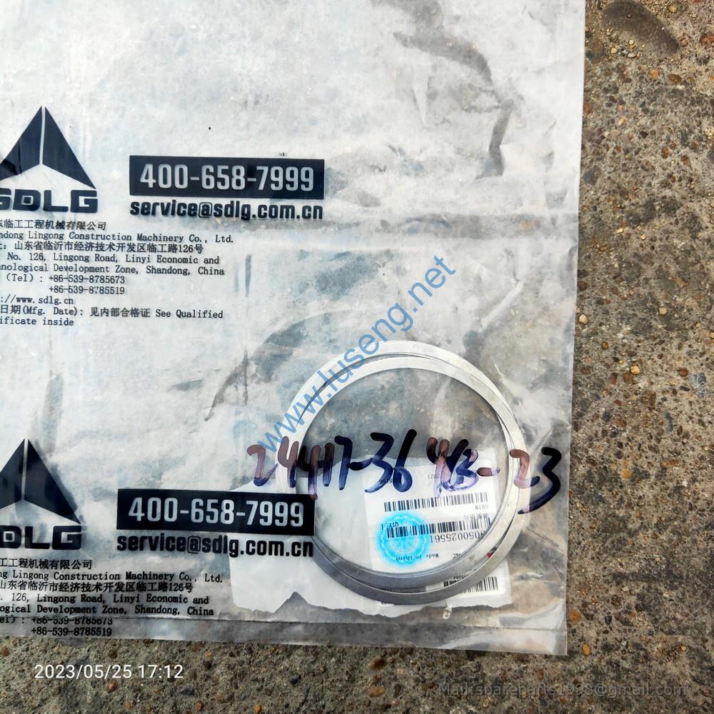 29050025561 SHIM SDLG