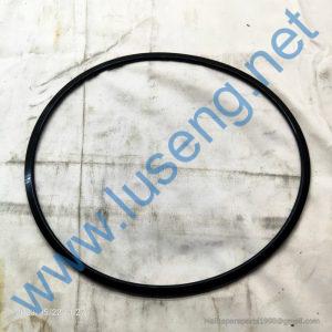 29070023711 SEAL RING SDLG