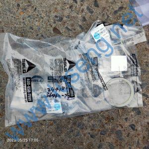 4120006998003 SEALING RING SDLG