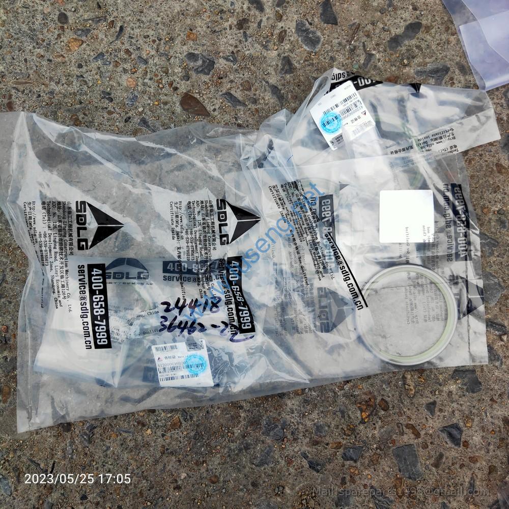 4120006998003 SEALING RING SDLG