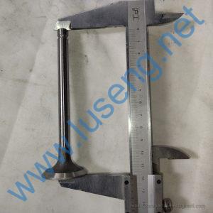 495-03019B valve ex huafeng