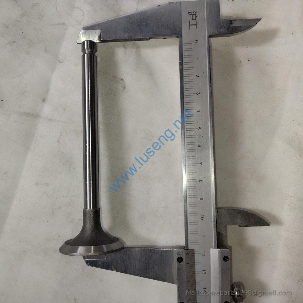 495-03019B valve ex huafeng