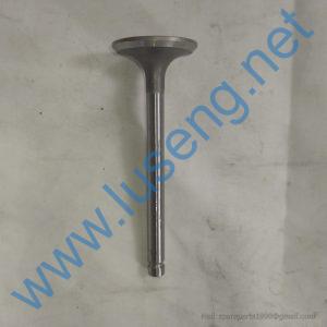 495-03020B valve intake huafeng
