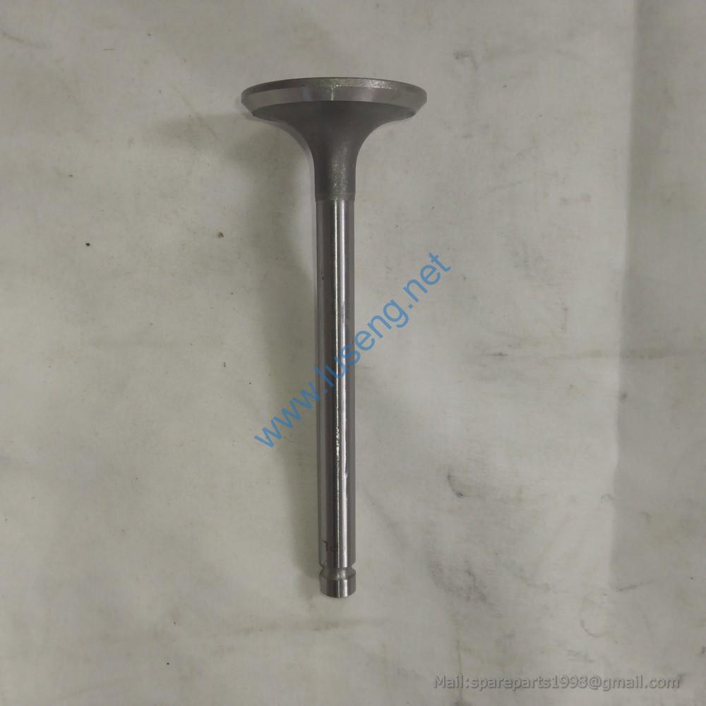 495-03020B valve intake huafeng