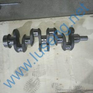 495-05007W crankshaft huafeng