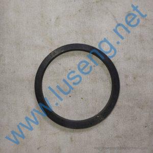 B160420006 OIL SEAL SEM