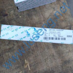 DK100-1005006 MAIN BEARING YUCHAI