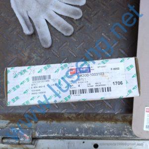 DK300-1003103 EXHAUST VALVE YUCHAI