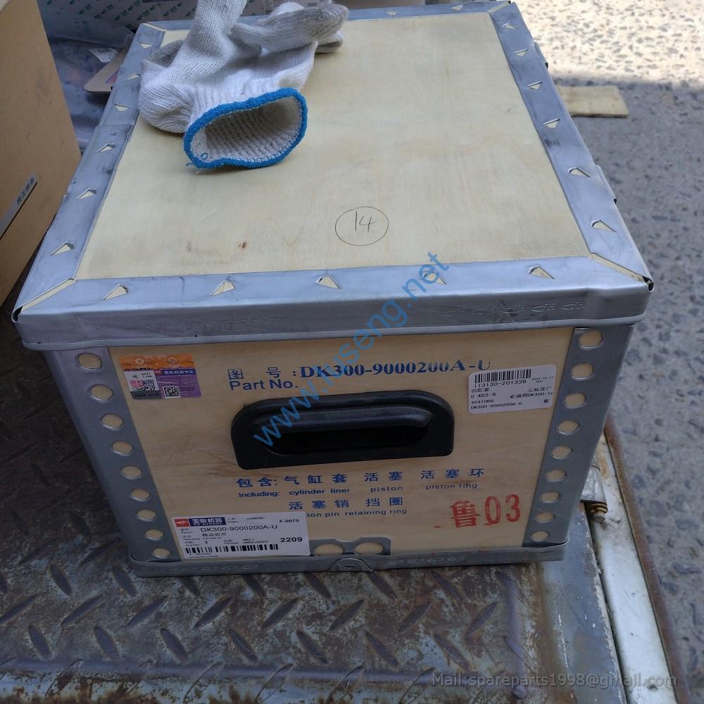 DK300-9000200A-U CYLINDER KIT YUCHAI