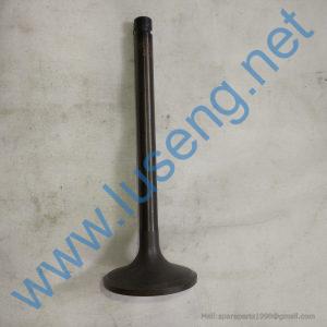 HA03309 INTAKE VALVE 4110003492212 YUNNEI