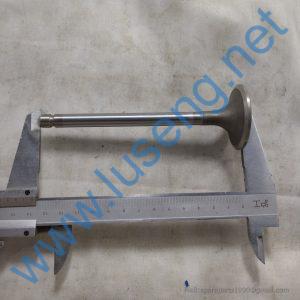 J3000-1003111A Intake valve YC6108G T20