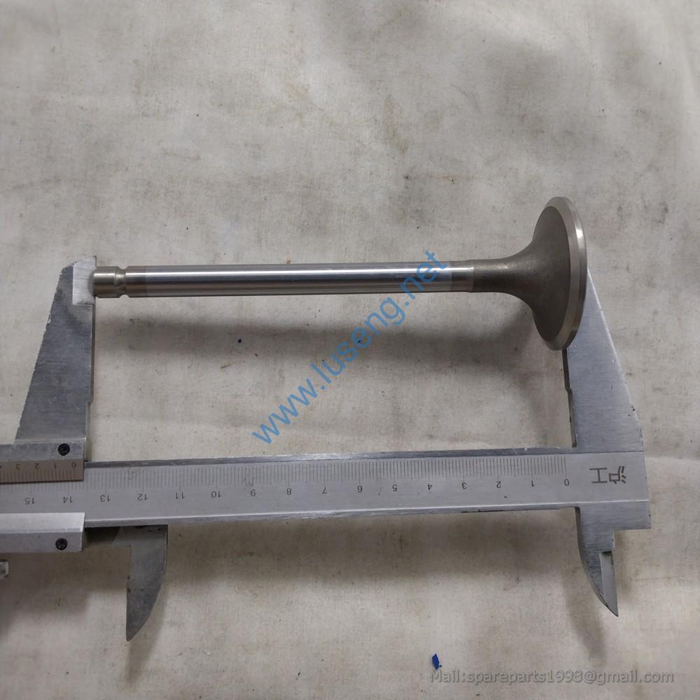 J3000-1003111A Intake valve YC6108G T20