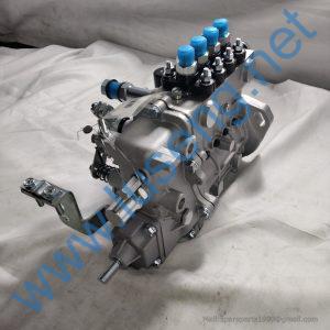 SD1-HA10001147 fuel injection pump HA10001147 4QT893