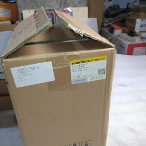 60300008099 LG876.07.04.01 GEAR PUMP