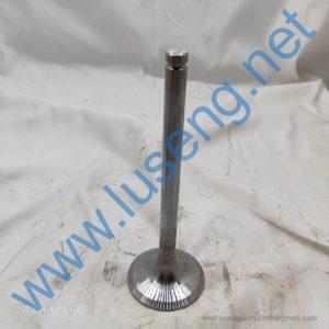 612600050073 valve exhaust for weichai parts