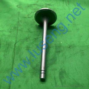 6N9915 SCA196A 4110000186106 Intake valve C6121 SDEC