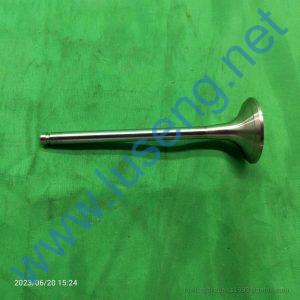 D04-111-31b D04-111-31B+B D04-111-31 SP106300 Excaust valve SDEC