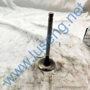 D30-1003111B 4110000560145 VALVE INTAKE YUCHAI