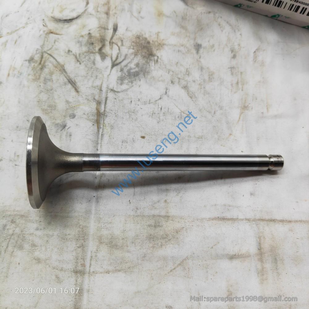 D30-1003111B 4110000560145 VALVE INTAKE YUCHAI - Image 3
