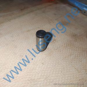GB119.2-12X25 GBT119.2-12X25 Cylindrical pin SHANTUI