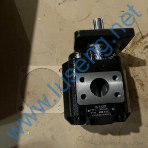 GBGJ2100 LG853.07.22 LGCB2100 60301000042 gear pump lonking