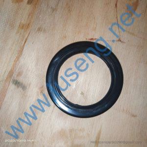 JF30-00-11 Dust guard SHANTUI