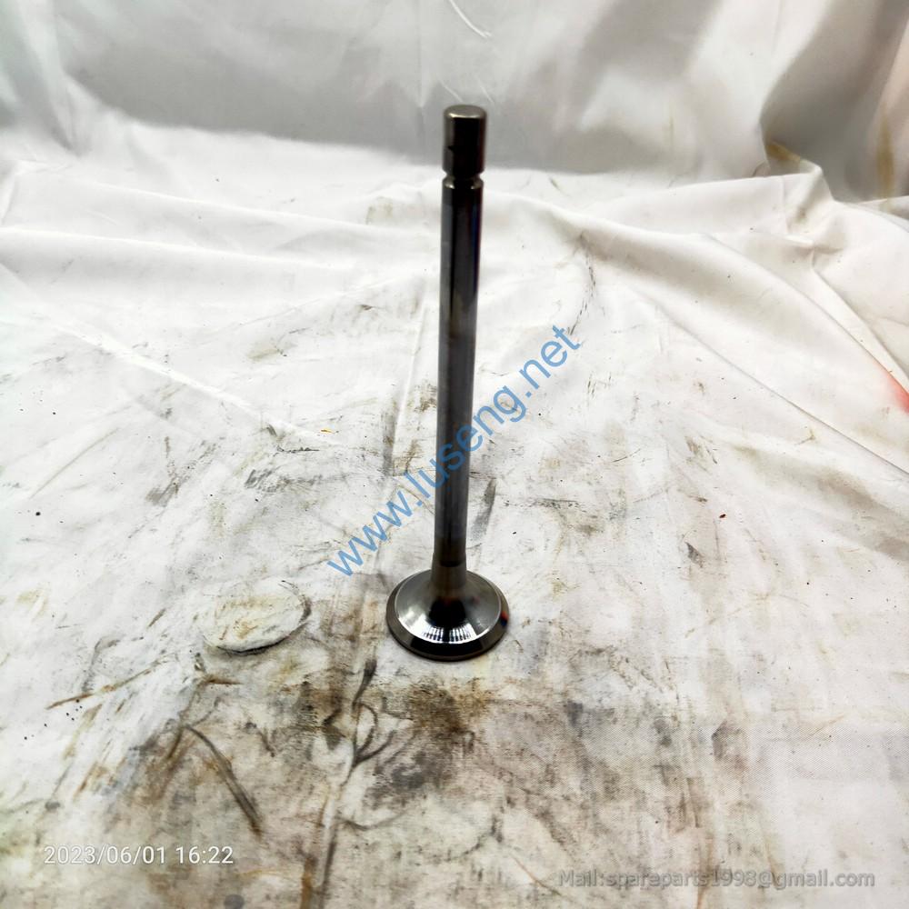 M6600-1003103 VALVE EX YUCHAI