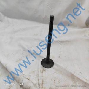 M6600-1003111 VALVE INTAKE YUCHAI