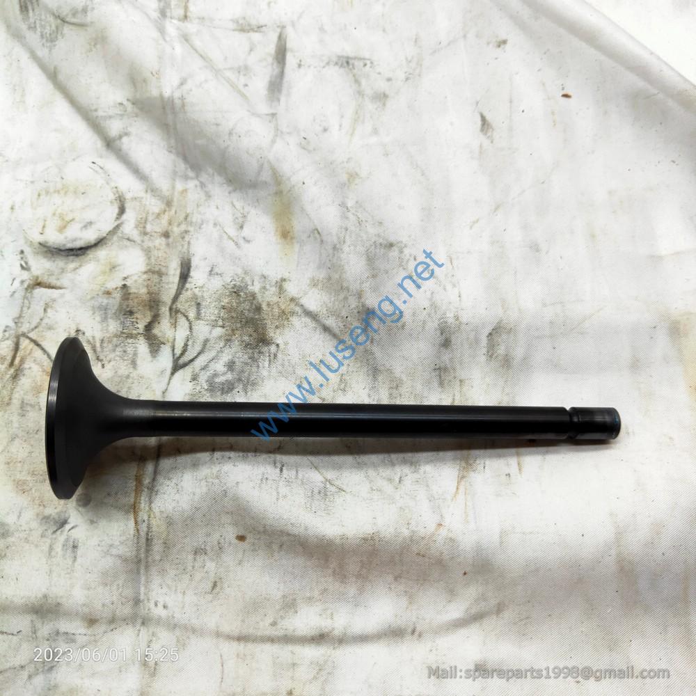 M6600-1003111 VALVE INTAKE YUCHAI - Image 3